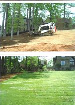 Landscaping Sod Project Photo 4